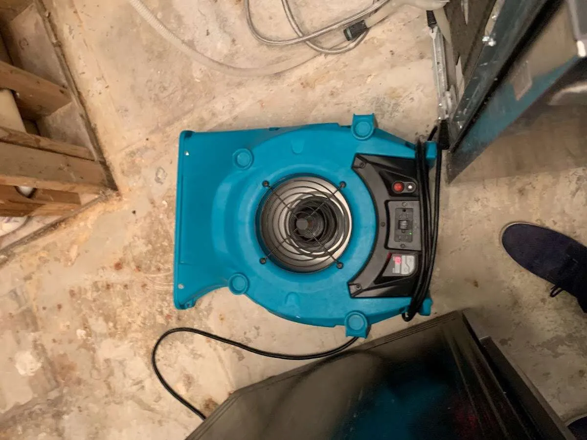 Air mover drying equipment for Mold Remediation & Removal in Three Rivers